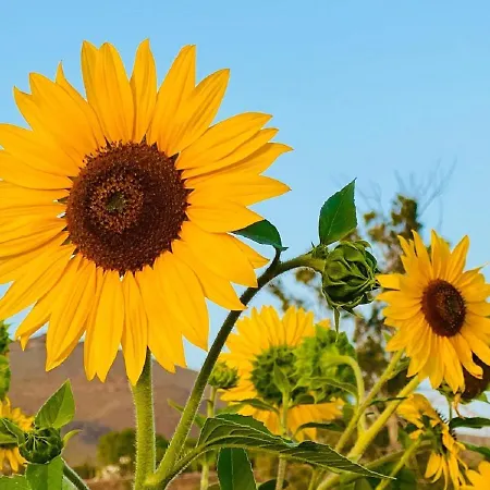 Privado Serendipia Natural Club Exclusive By Deihu Experiences