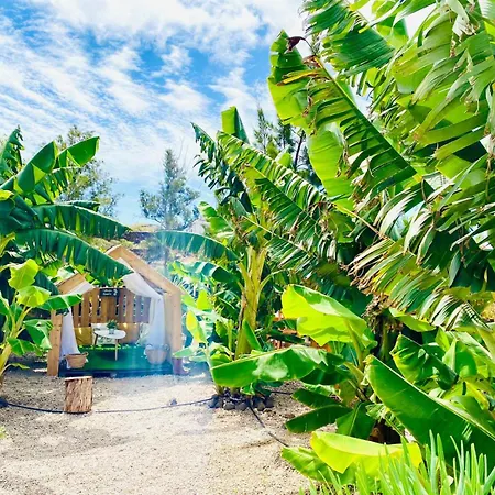 Privado Serendipia Natural Club Exclusive By Deihu Experiences Buzanada