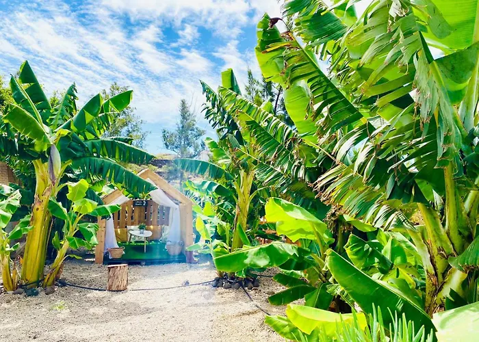 Privado Serendipia Natural Club Exclusive By Deihu Experiences Buzanada