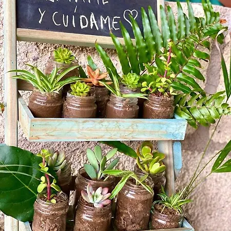 Privado Serendipia Natural Club Exclusive By Deihu Experiences * Buzanada