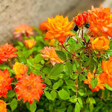 בית נופש Privado Serendipia Natural Club Exclusive By Deihu Experiences