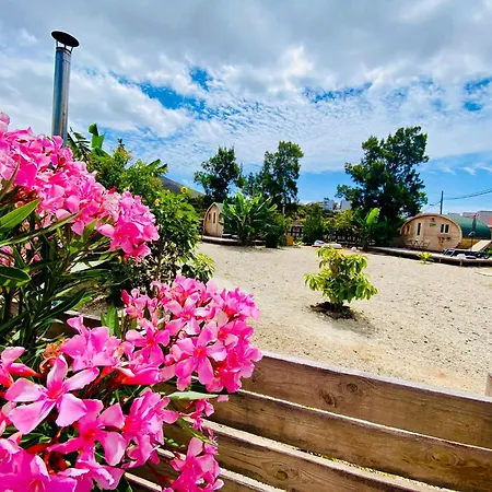 Privado Serendipia Natural Club Exclusive Buzanada