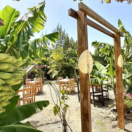 Privado Serendipia Natural Club Exclusive By Deihu Experiences בית נופש Buzanada