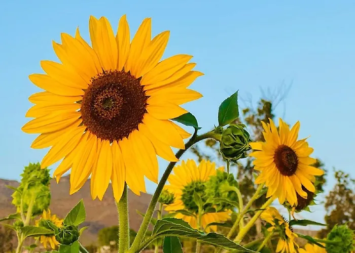 Privado Serendipia Natural Club Exclusive By Deihu Experiences