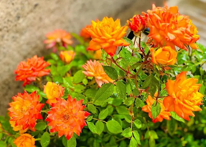 別荘 Privado Serendipia Natural Club Exclusive By Deihu Experiences