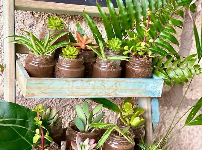 Privado Serendipia Natural Club Exclusive By Deihu Experiences * Buzanada